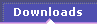 Downloads button